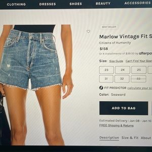 Citizens of Humanity Marlow Vintage Fit Short